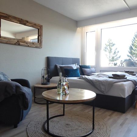 Winterberg Apartment Mountain Suite Pool-Sauna-Terrasse-Hund-4Pers-Bikepark Exterior foto
